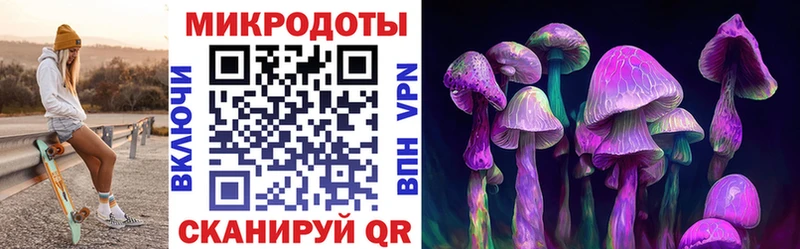 где найти наркотики  Краснознаменск  Псилоцибиновые грибы Psilocybe 
