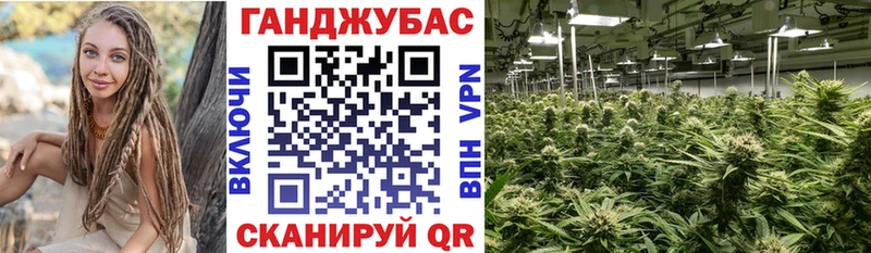 Бошки Шишки план  мориарти телеграм  кракен ONION  Краснознаменск  даркнет сайт 